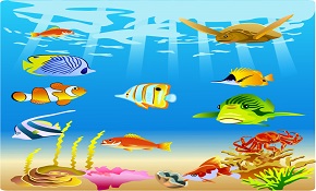 Tropical Fish  vector Collection
